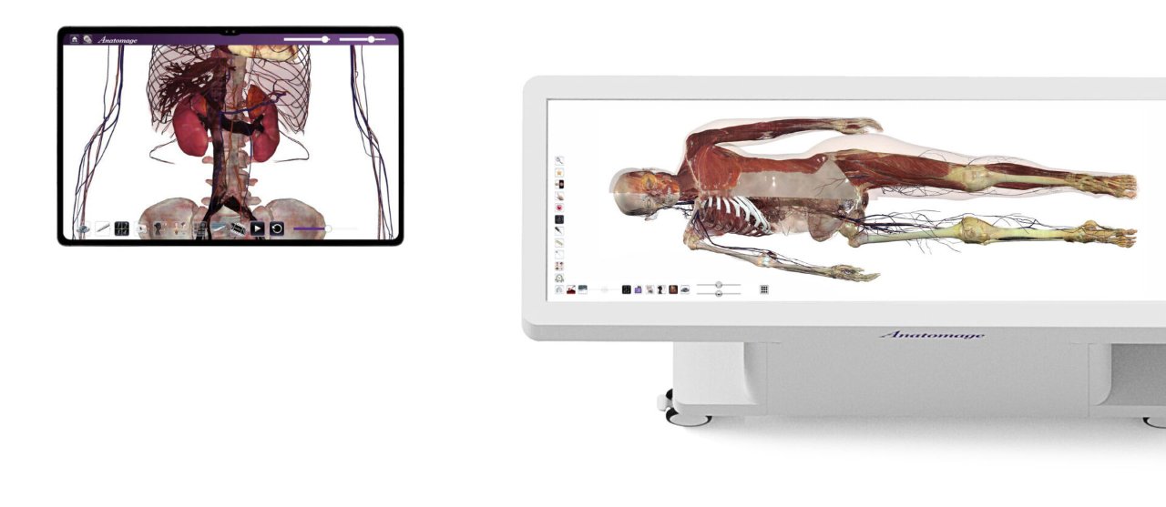 The Anatomage Table, a life-size interactive digital cadaver, installed for anatomy teaching